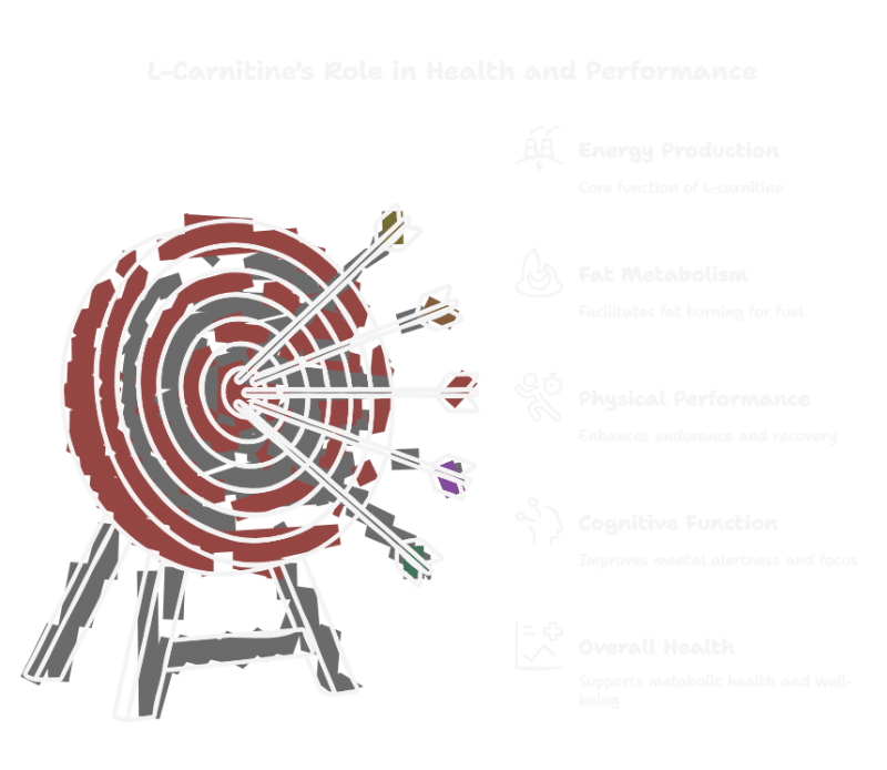 L-Carnitine